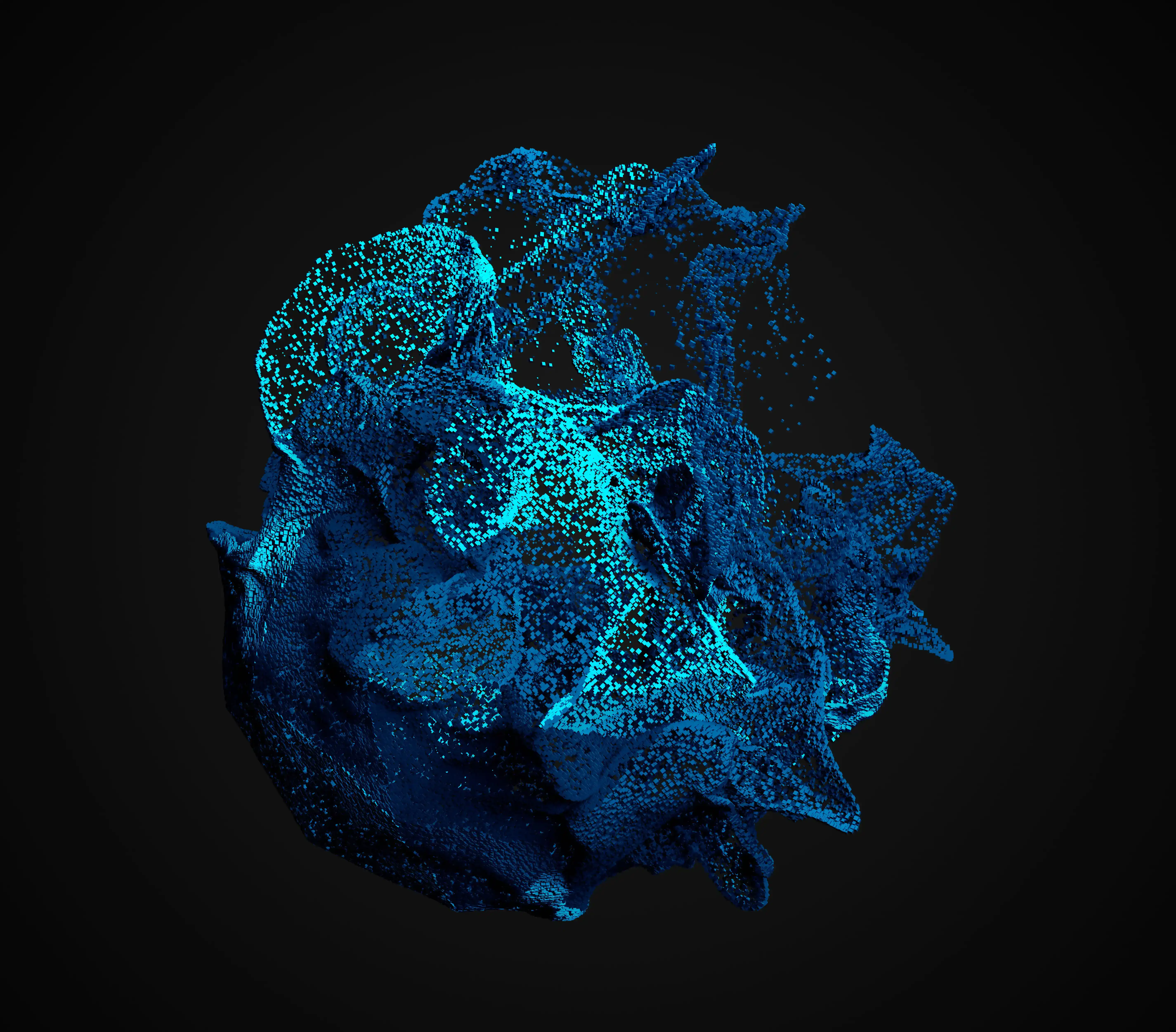 Web розробка